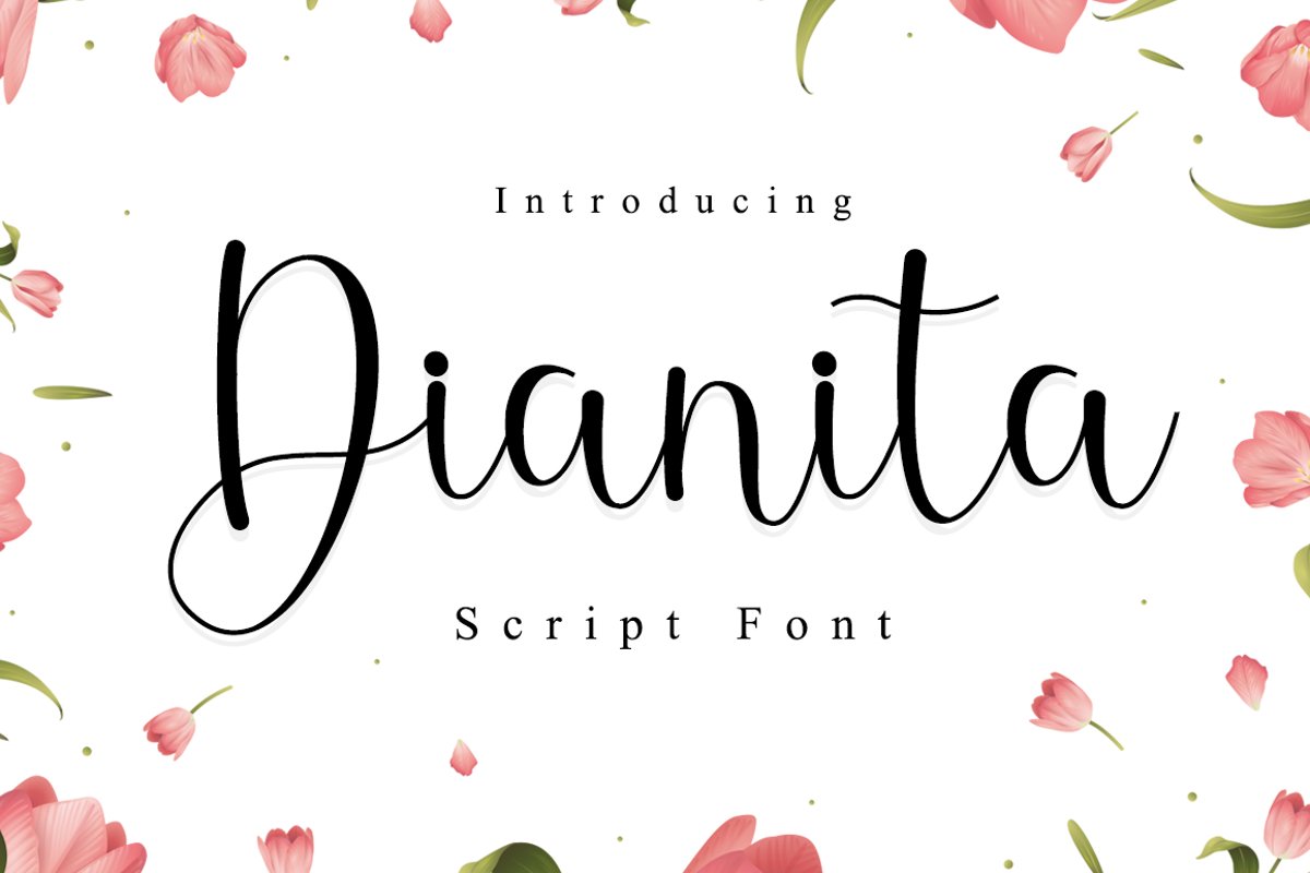 Dianita example image 1