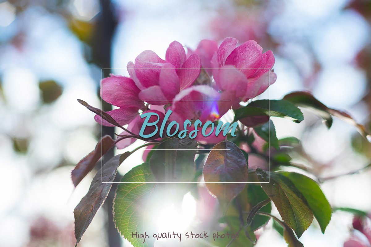 Flowers, spring blossom example image 1