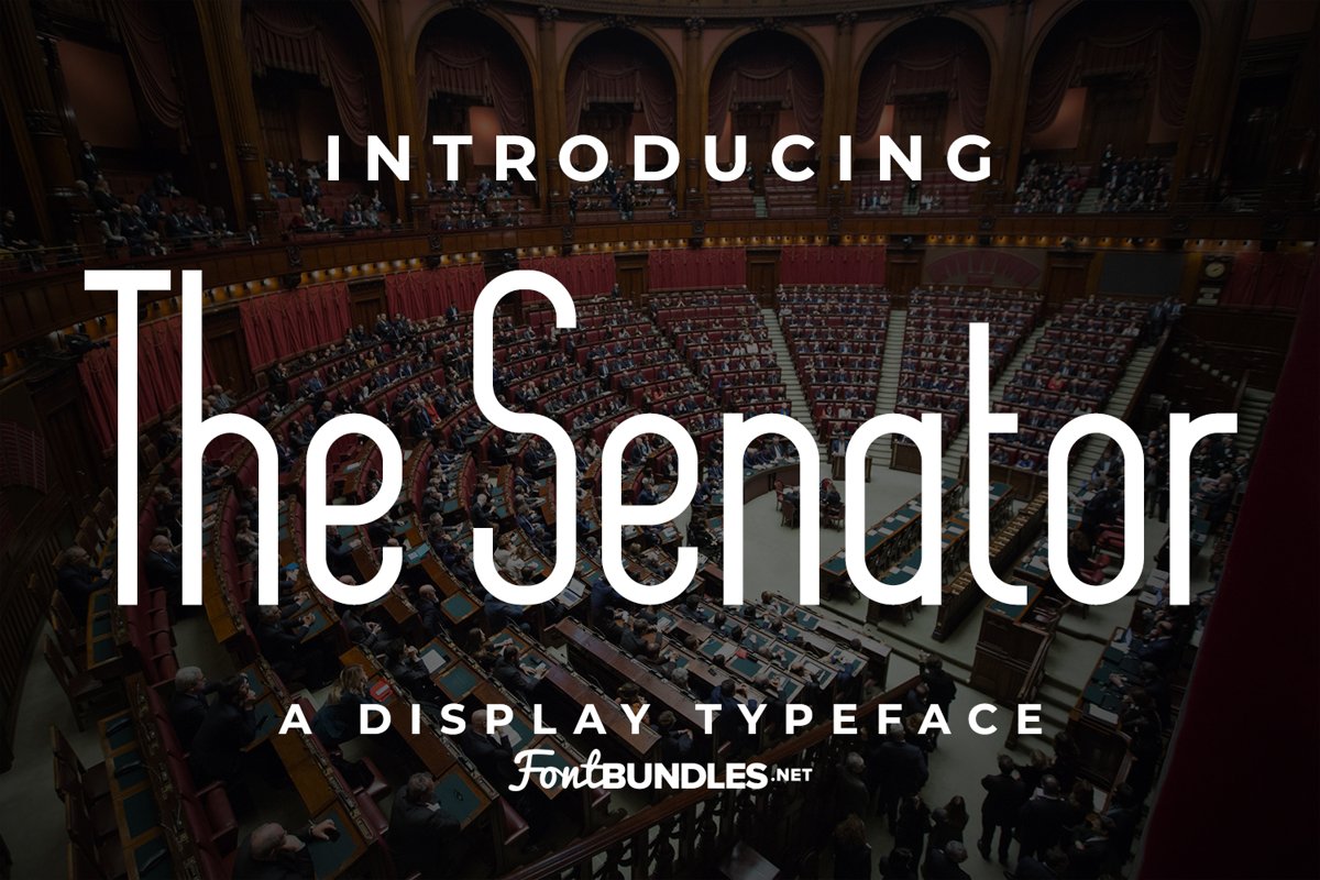 The Senator example image 1