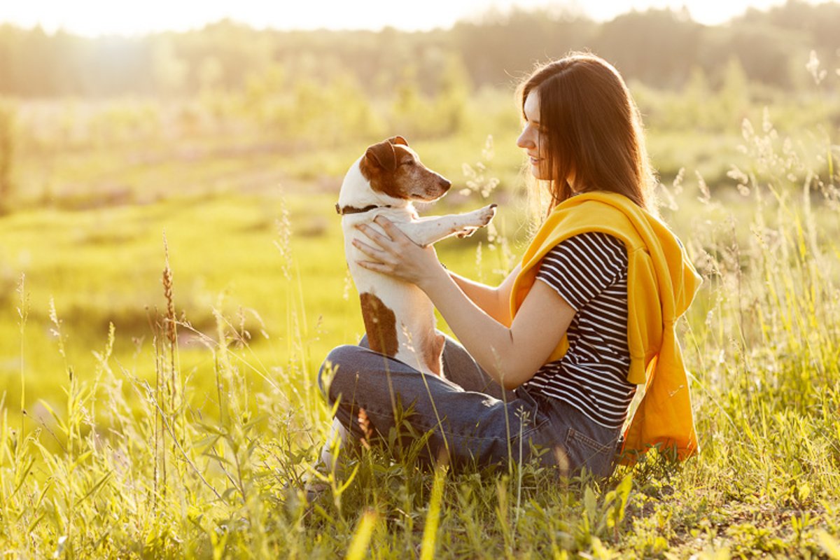 Young girl sitting on the grass and hugs a dog Jack Russell example image 1