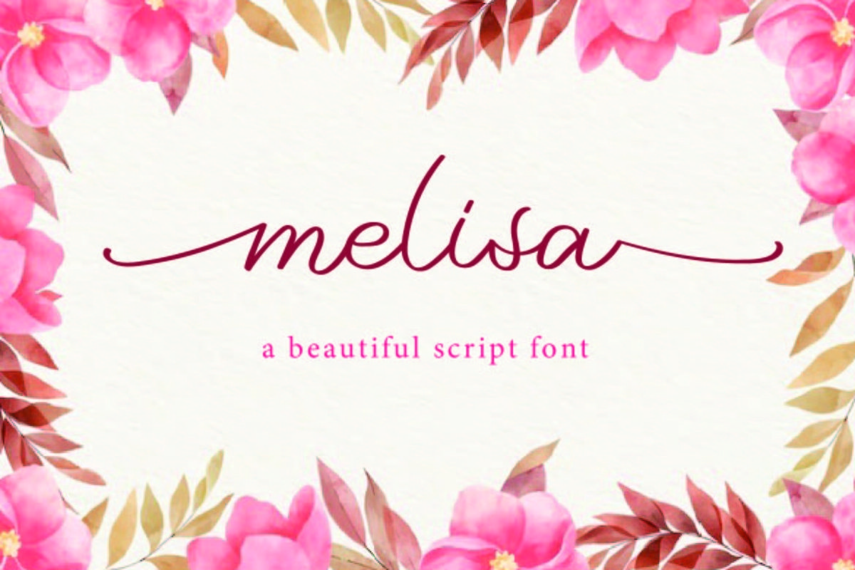 melisa example image 1