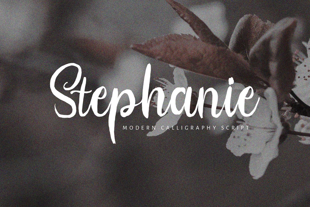 Stephanie Script Font example image 1
