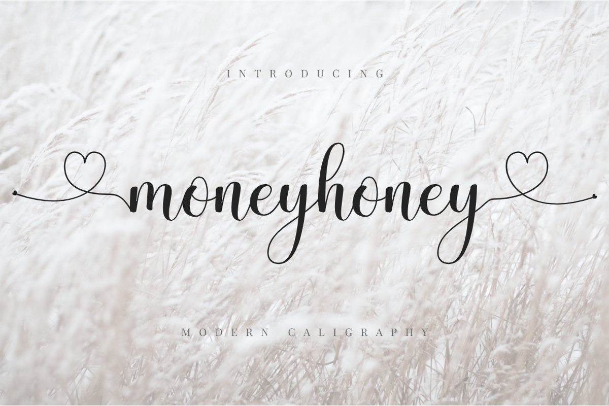 Moneyhoney example image 1