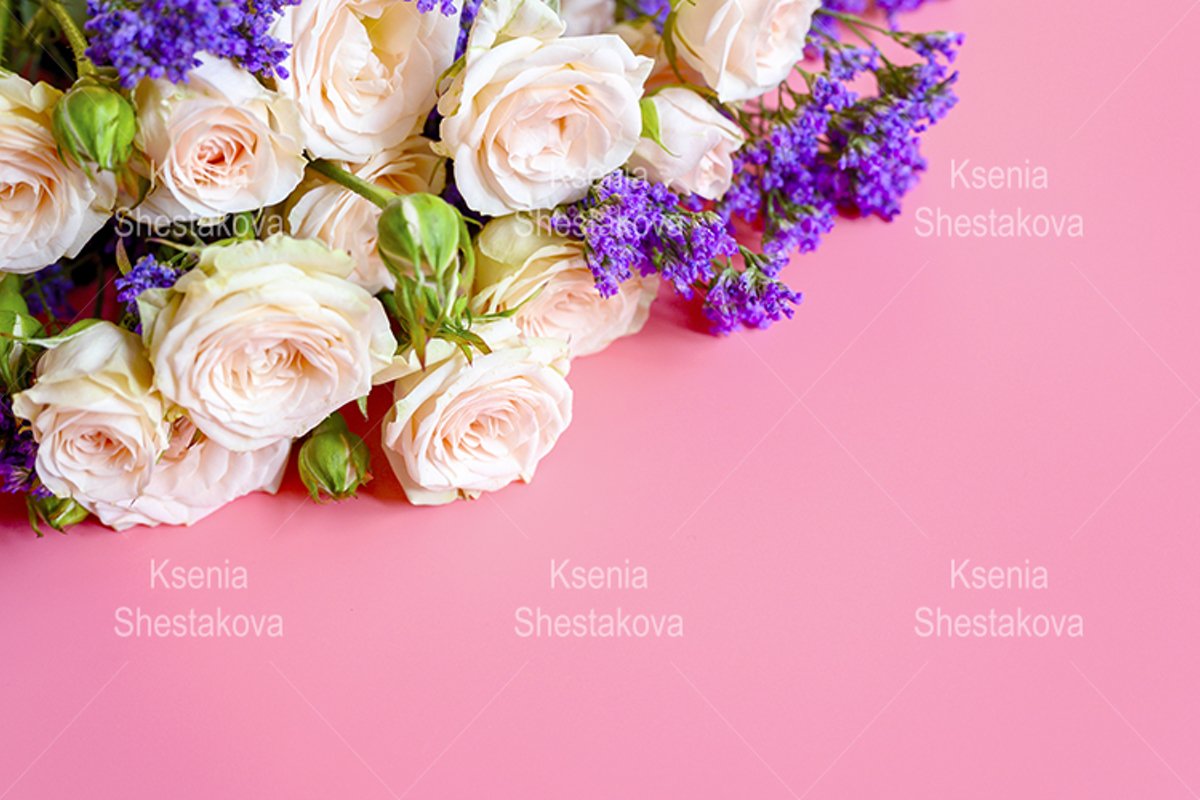 roses and purple flowers in full bloom on a pink background example image 1