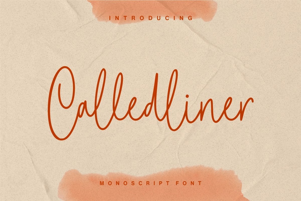 Calledliner - Monoscript Font example image 1