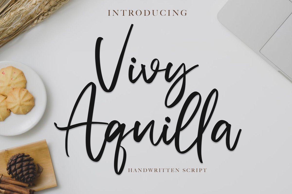 Vivy Aquilla - Handwritten Font example image 1