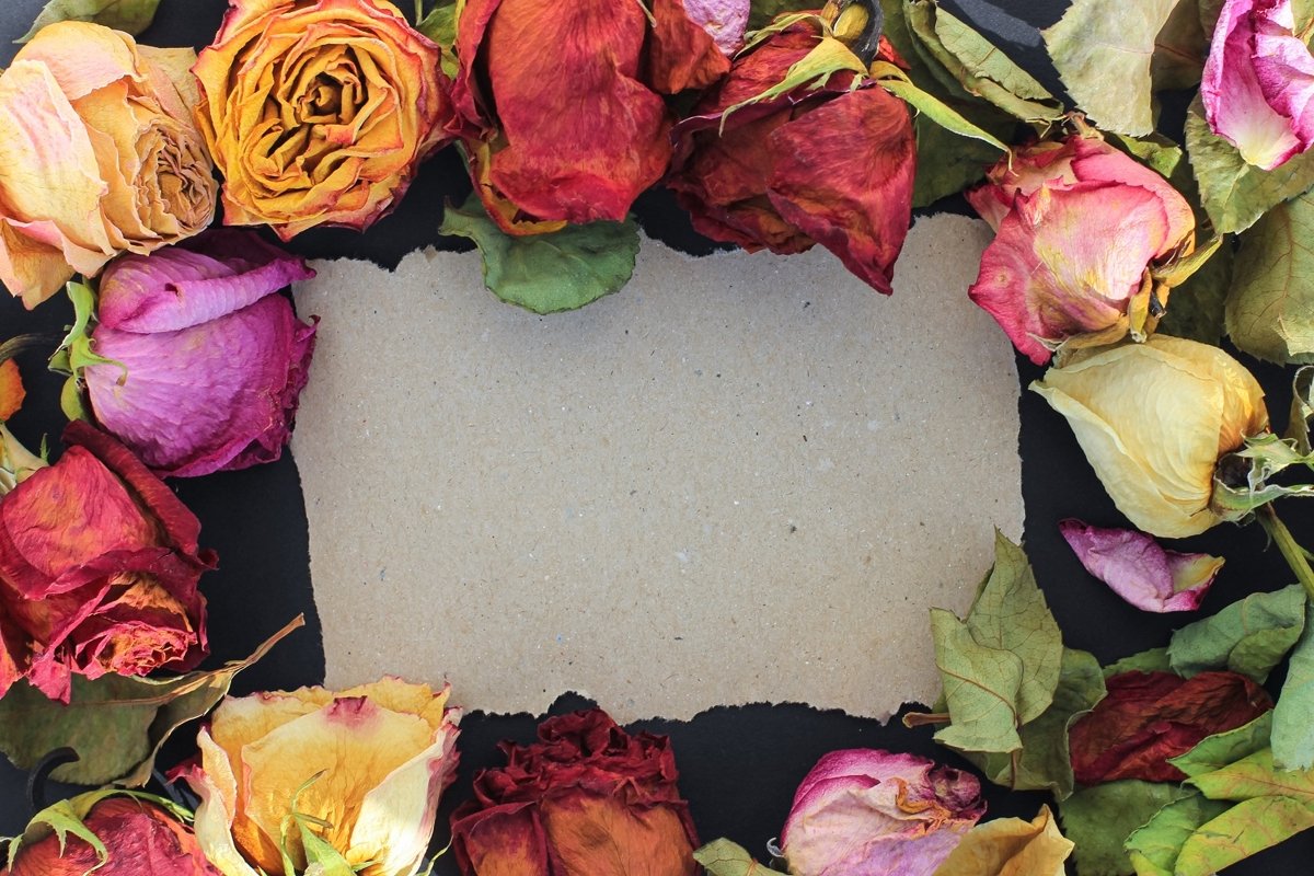 Frame of laid out dry buds of roses, petals, leaves example image 1