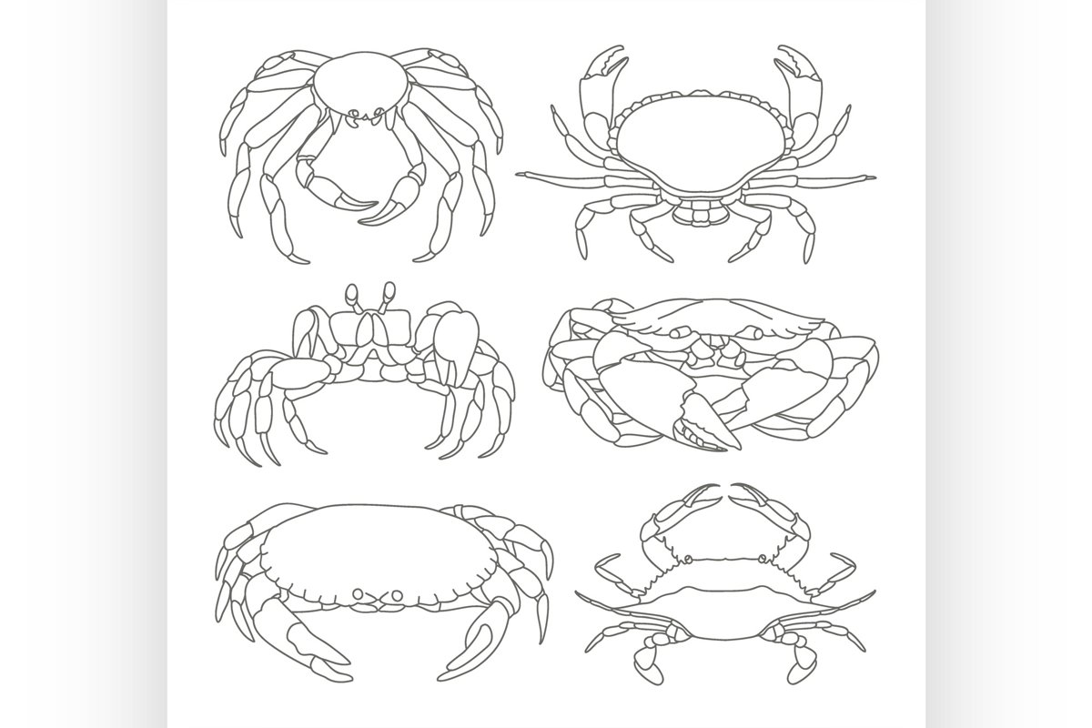 Set of vector crab icons example image 1