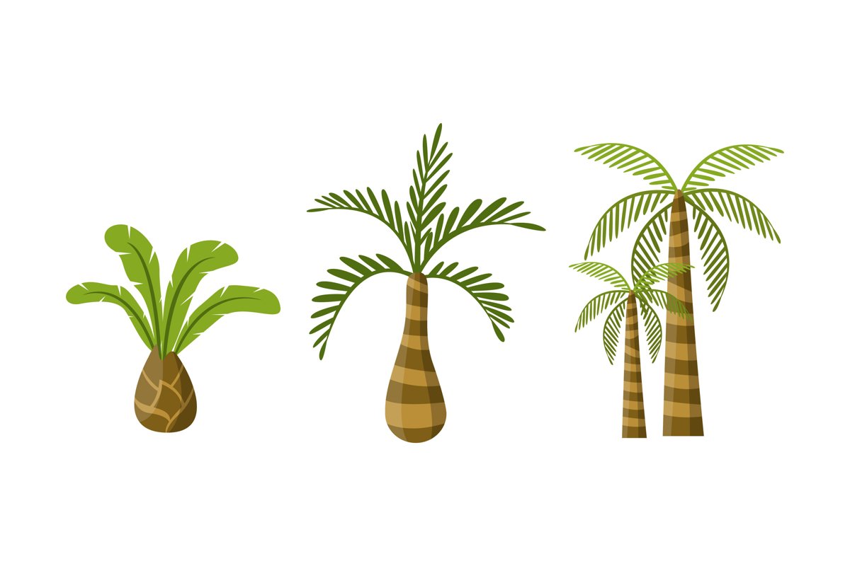 Palm Tree Illustrations example image 1