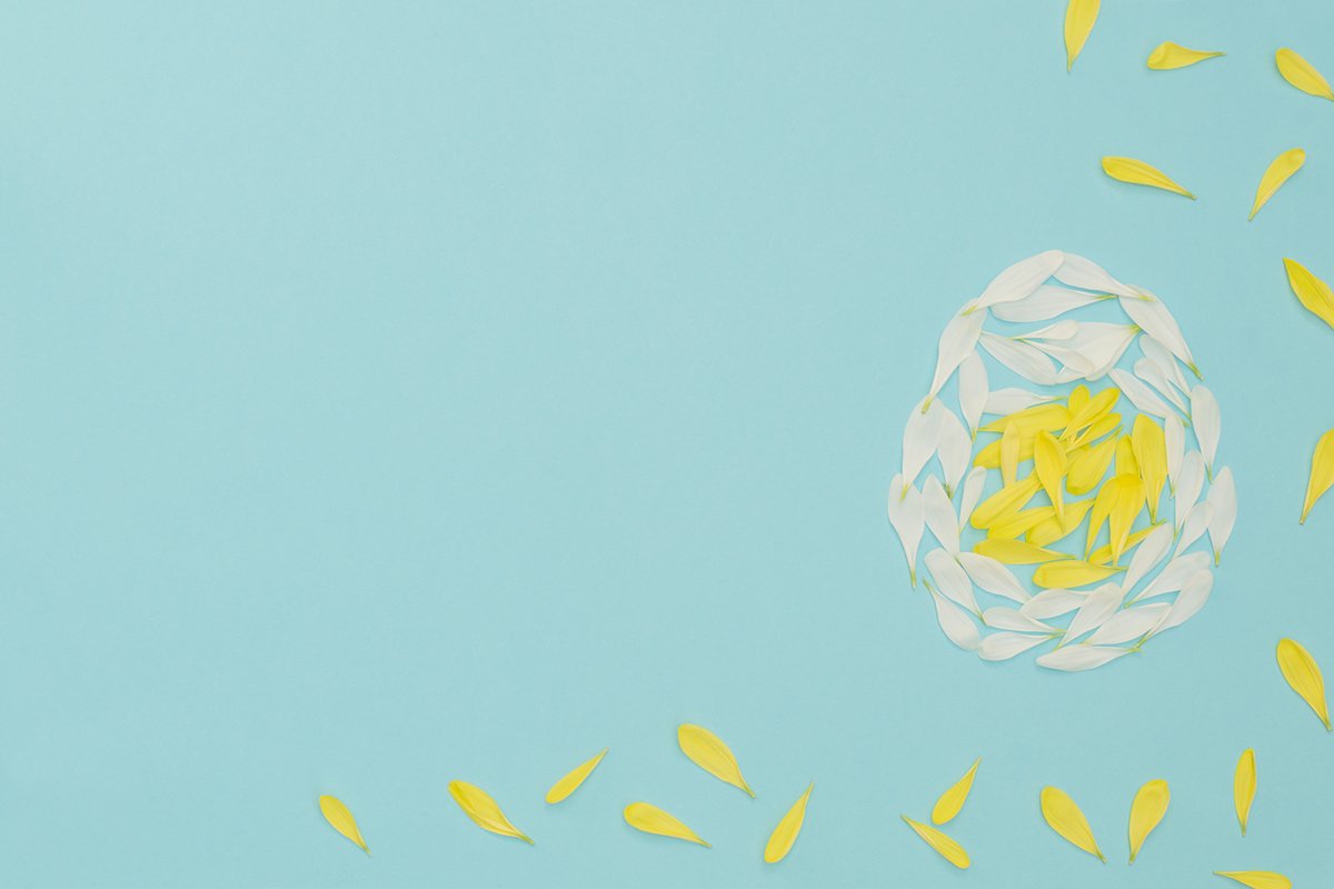 Easter egg made of yellow and white flower petals example image 1