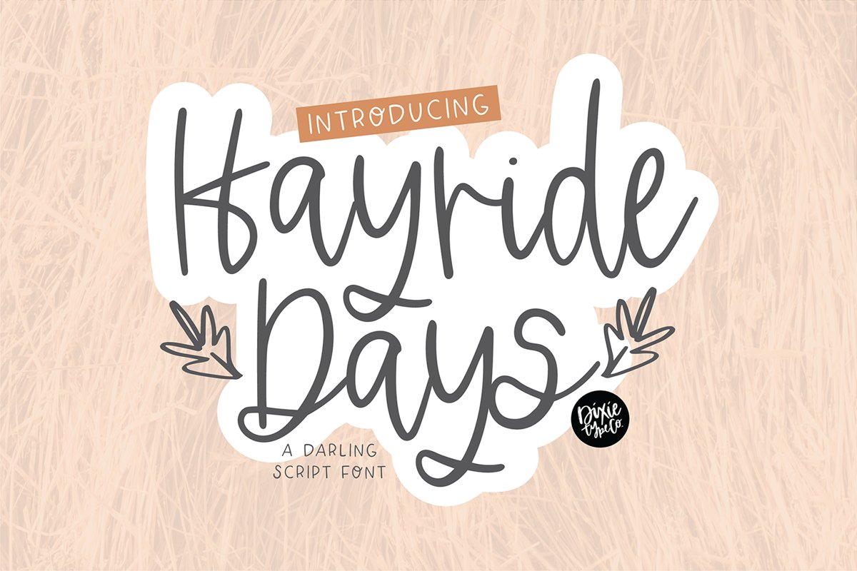 HAYRIDE DAYS a Handwriting Script Font example image 1