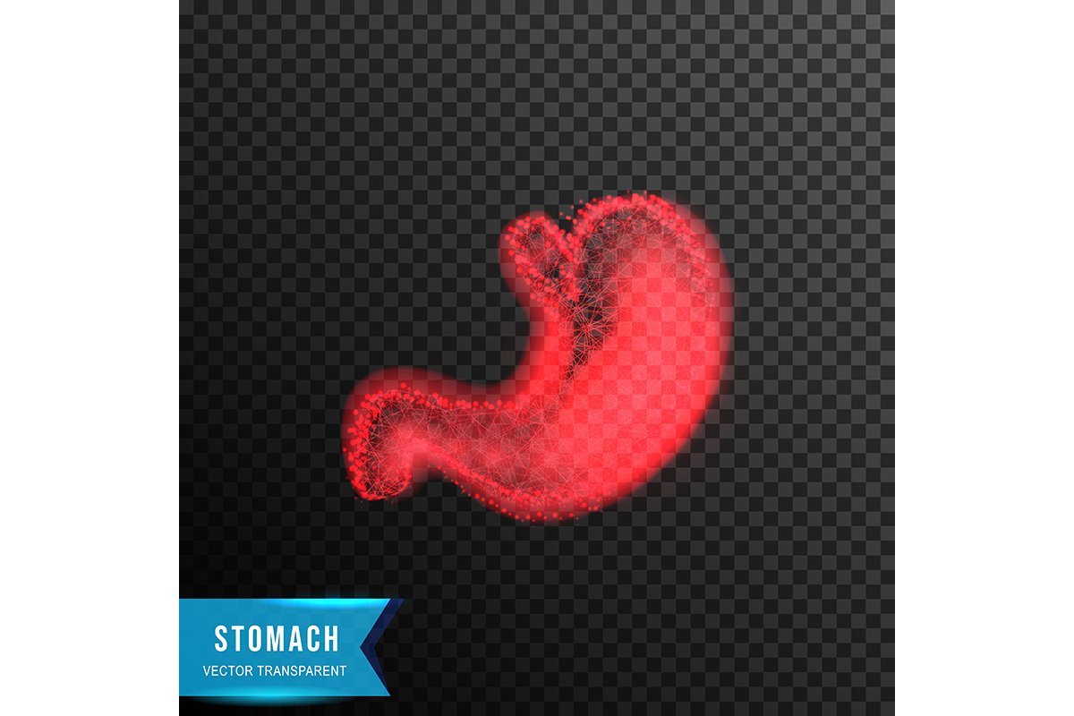 stomach, human anatomy from connecting dot and line. light e example image 1