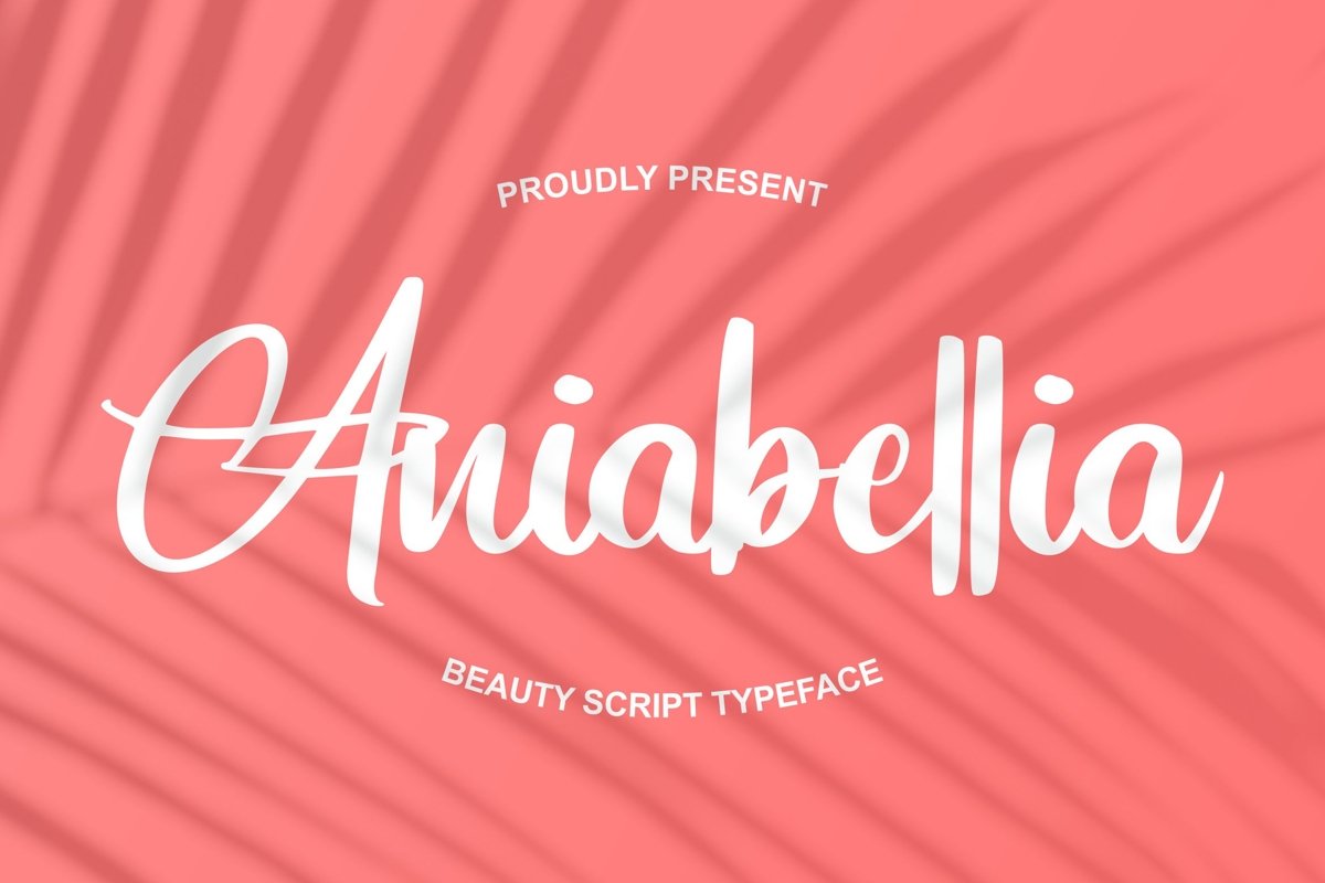 Aniabellia | Beauty Script Typeface example image 1
