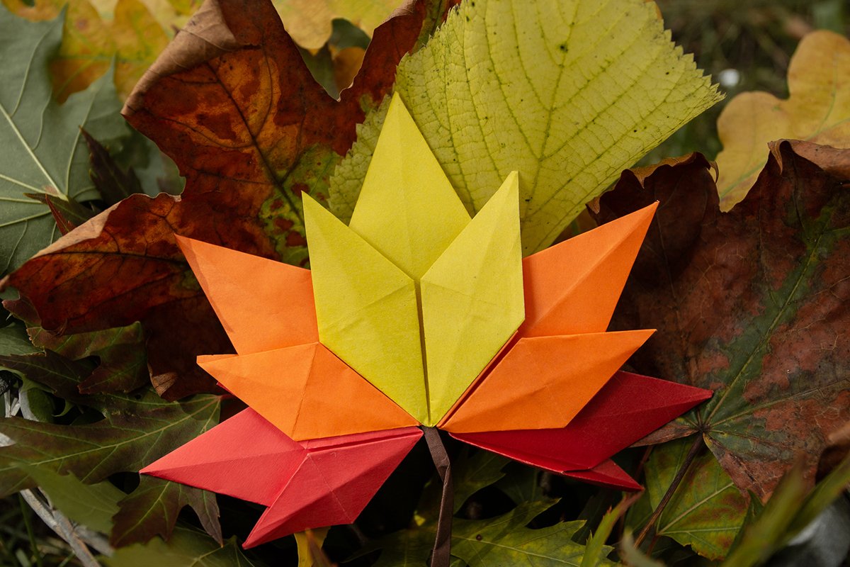 Autumn concept background traditional paper craft handmade example image 1