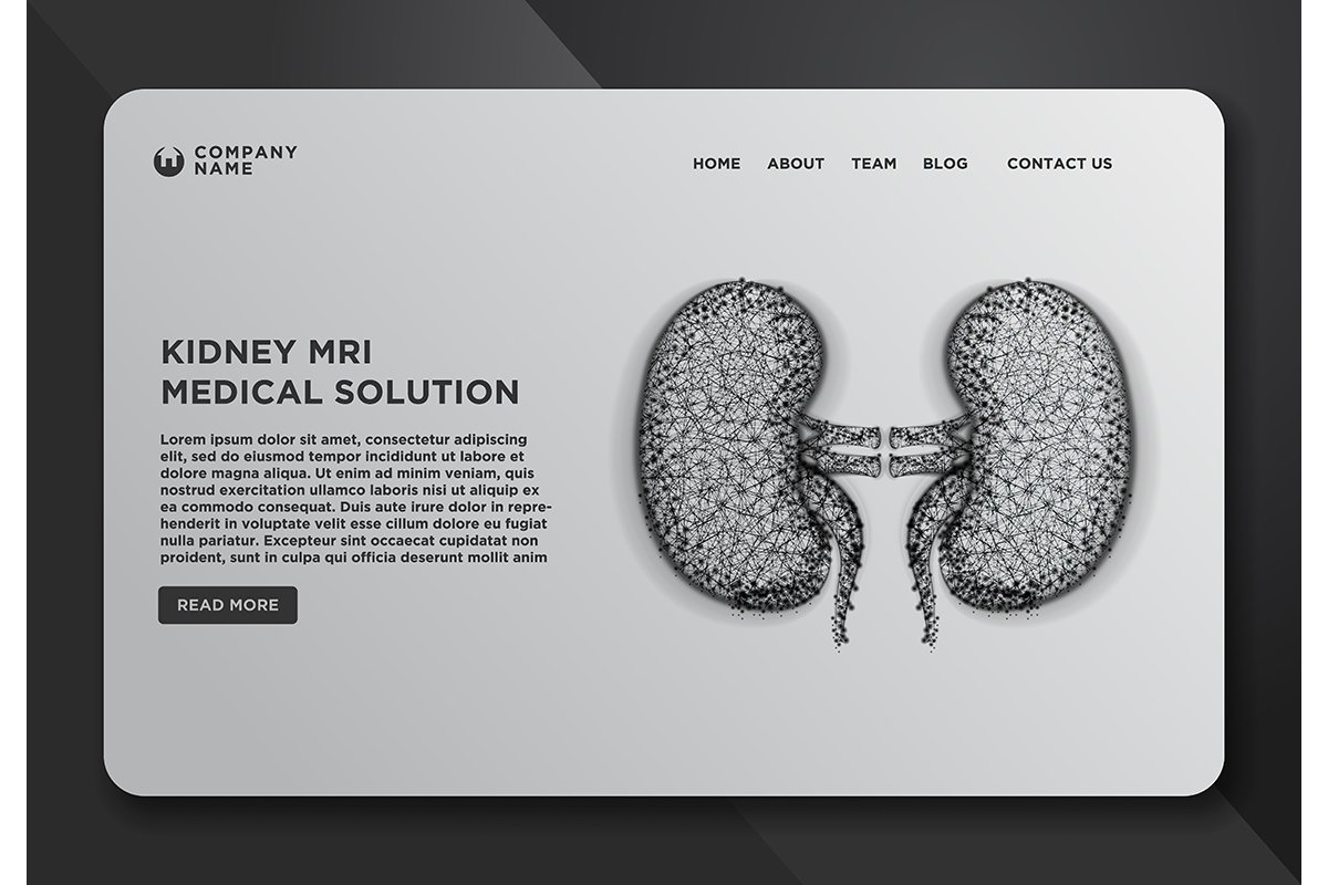 Web page design templates collection of kidney human renal r example image 1