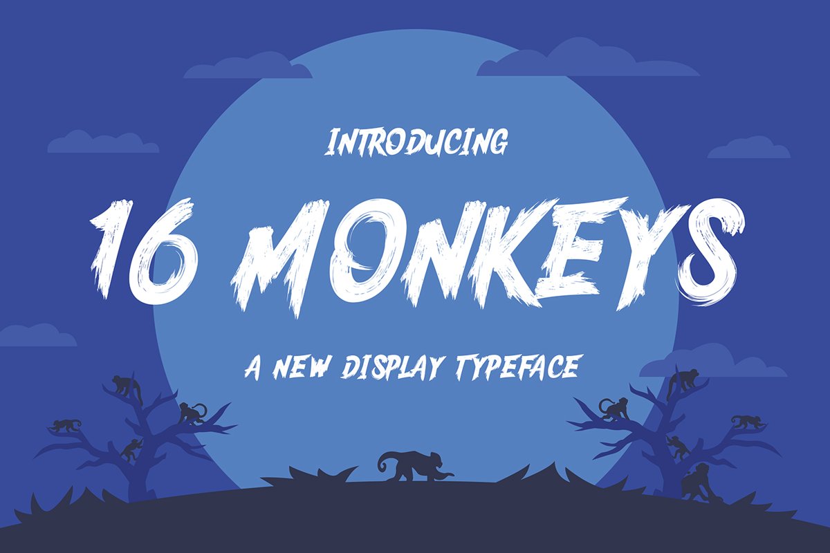 16 Monkeys example image 1