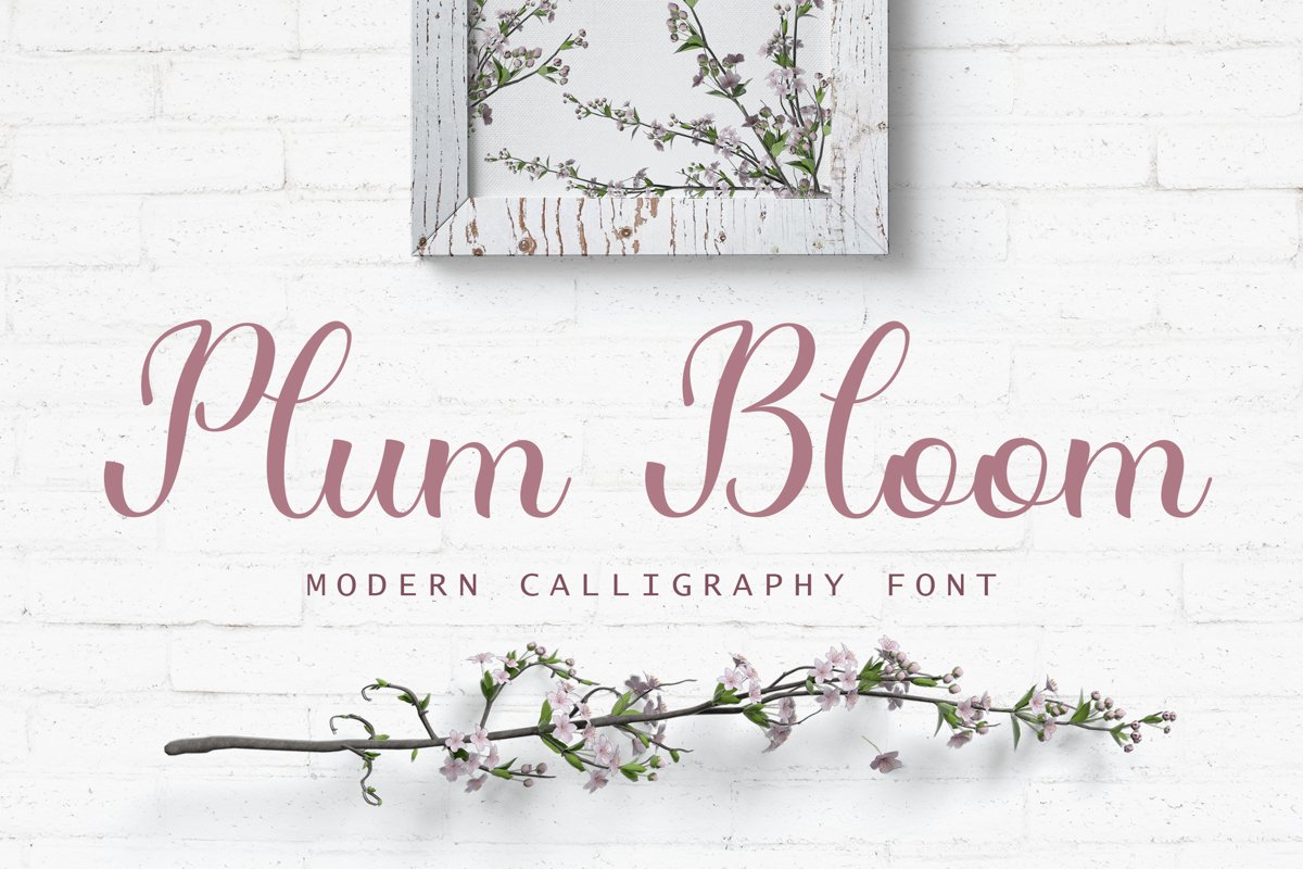 Plum Bloom - handwritten calligraphy font example image 1