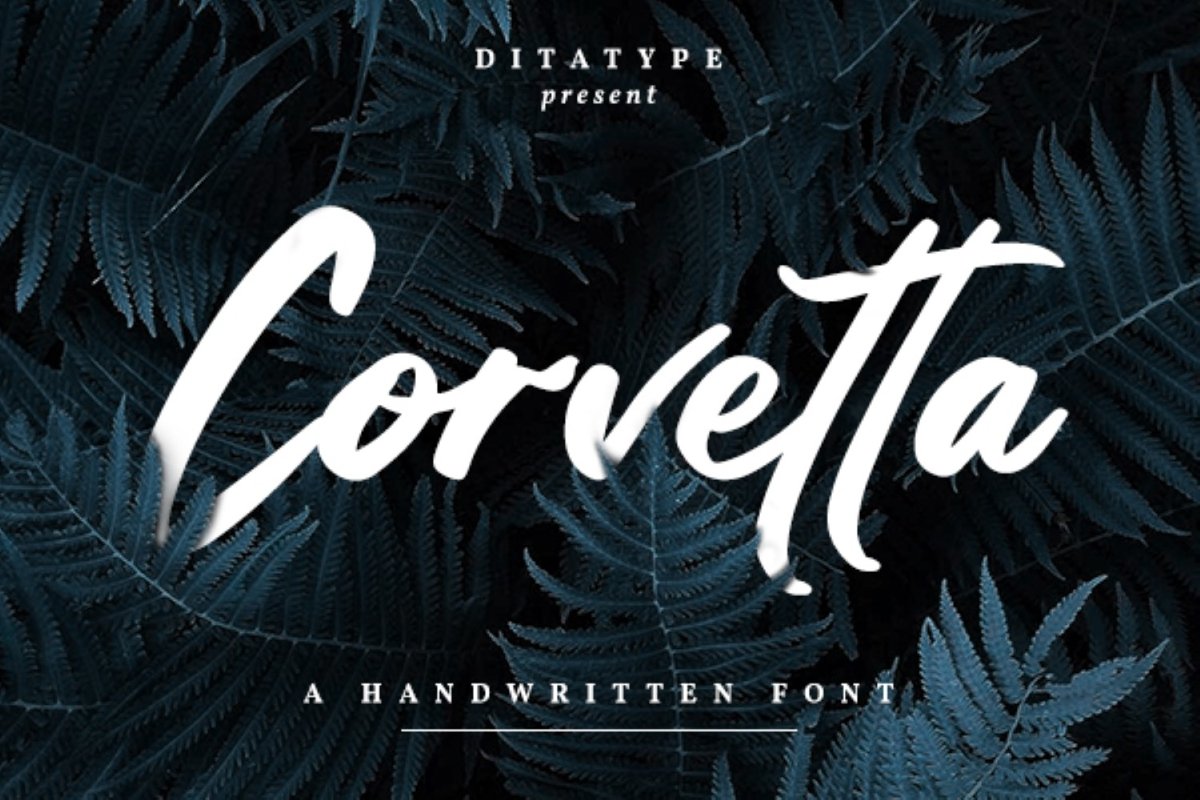 Corvetta example image 1