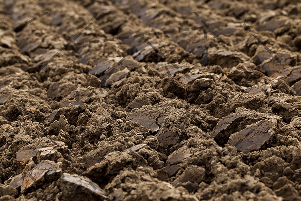 plowed land, close-up example image 1
