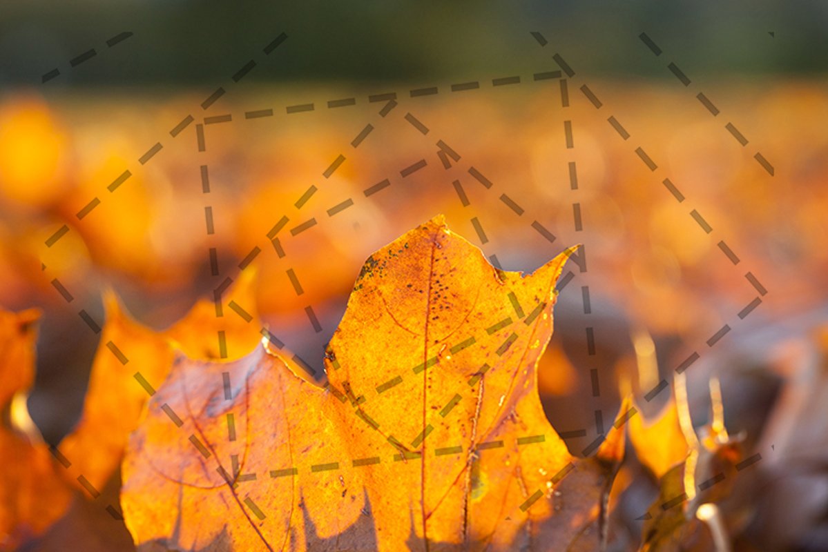 autumn season example image 1