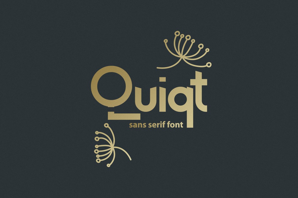Quiqt example image 1