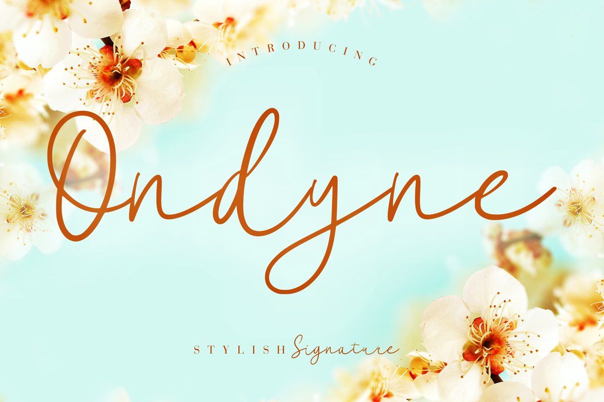 Ondyne Stylish Signature example image 1
