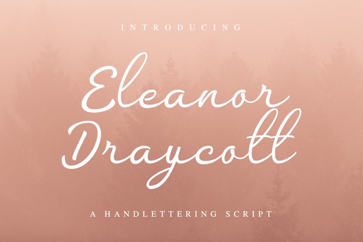 Eleanor Draycott example image 1