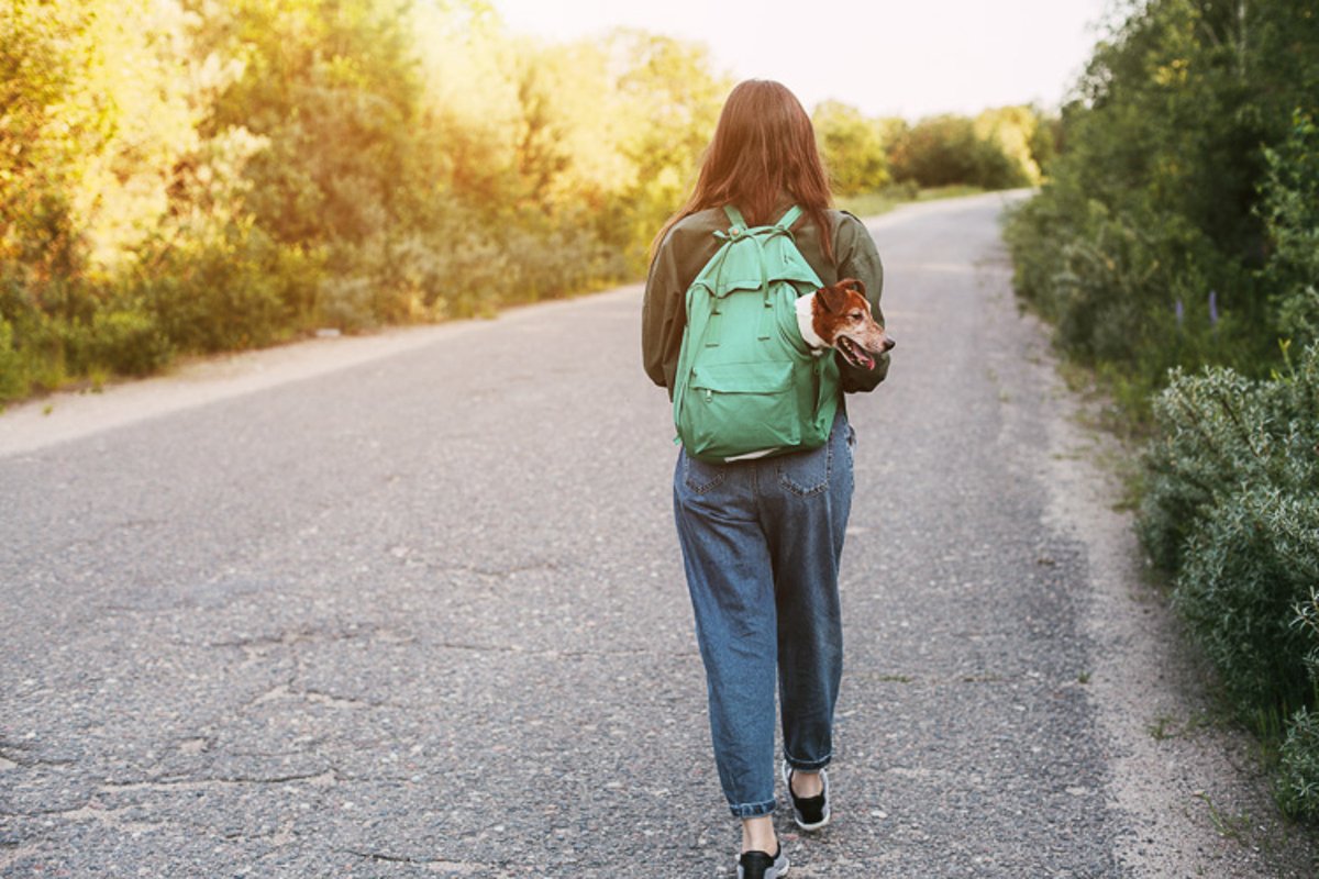 The girl has a backpack on her shoulders from which the dog example image 1