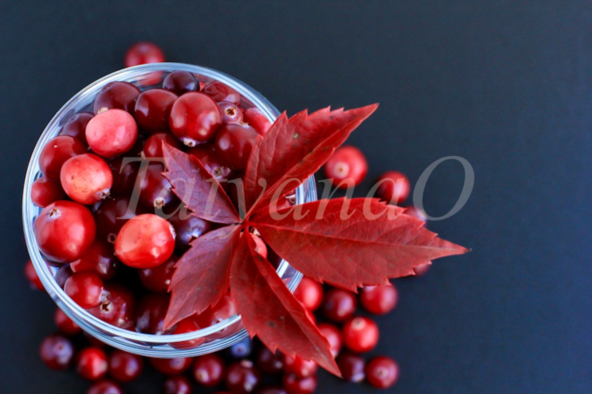 Cranberries background example image 1