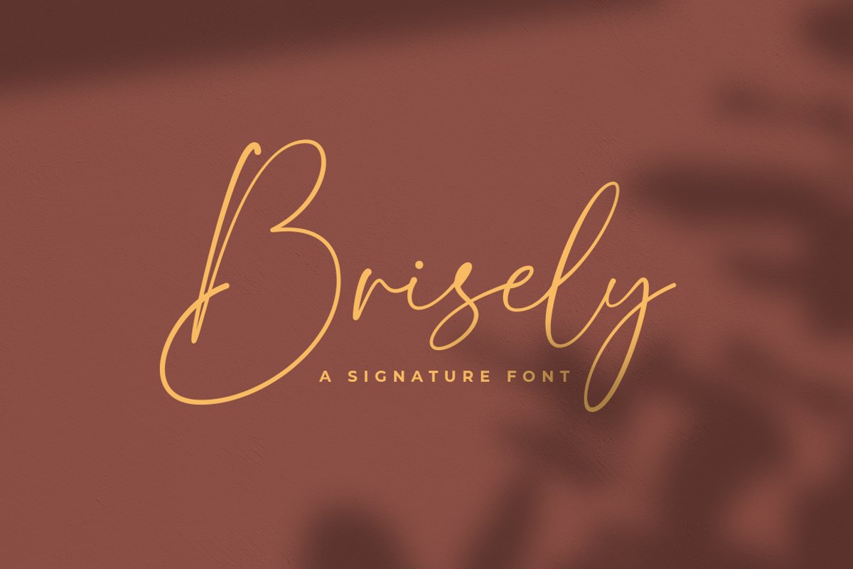 Brisely example image 1