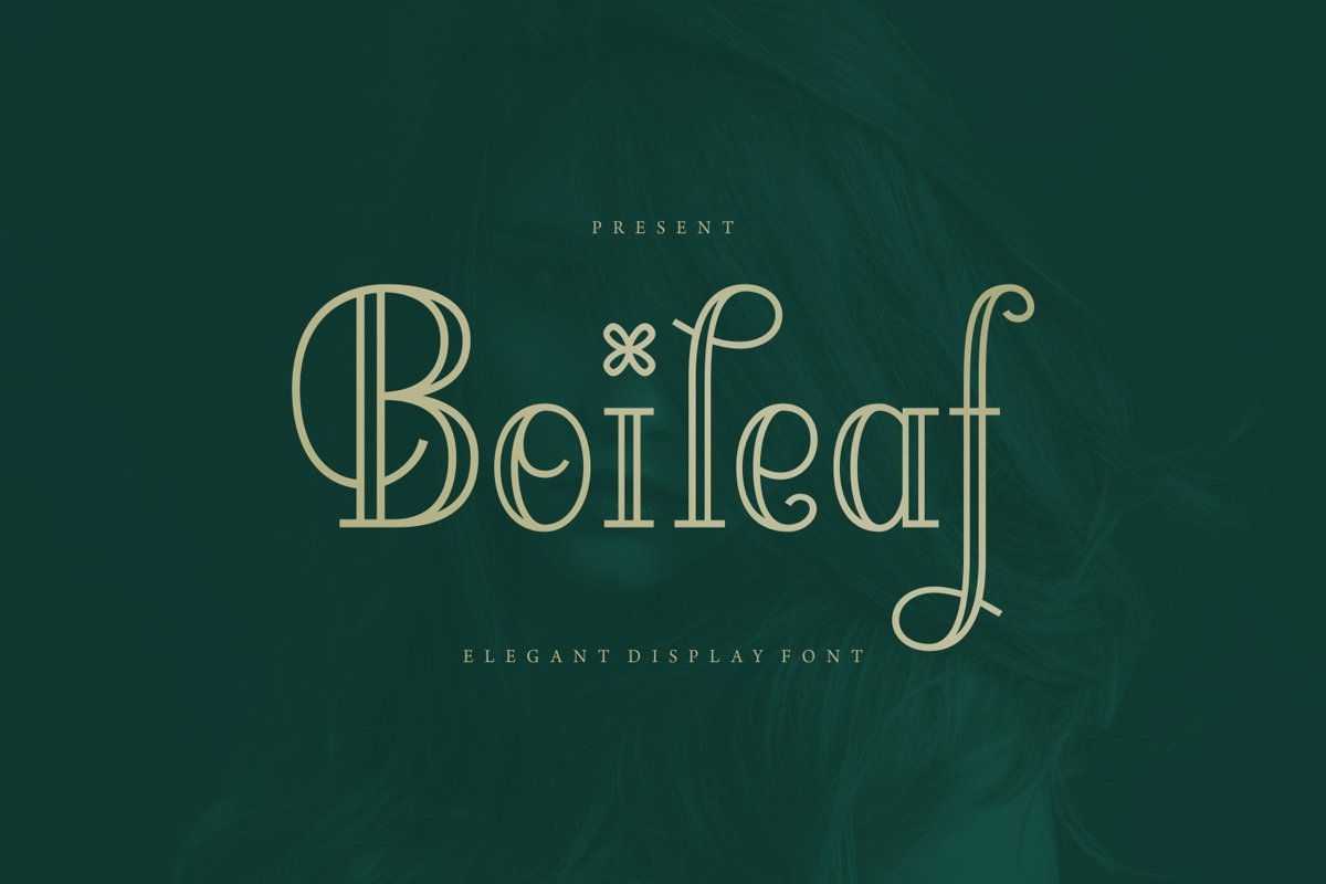 Boileaf - Elegant Display Font example image 1