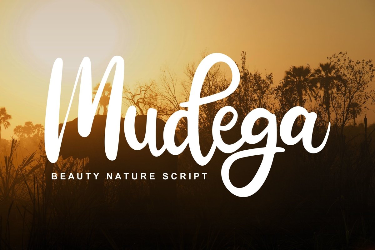Mudega | Beauty Nature Script Font example image 1