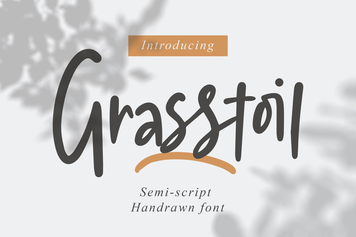 Grasstoil - Handwritten Fonts example image 1