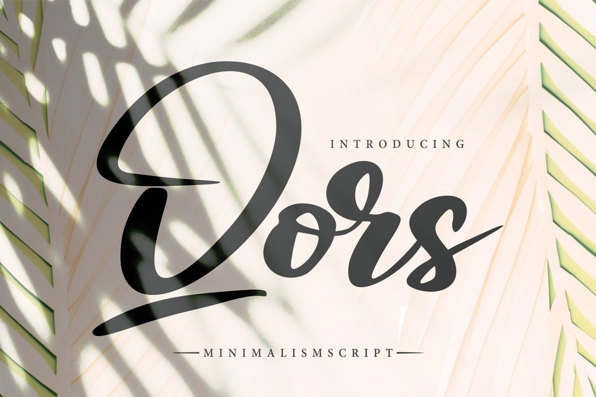 Qors | Minimalism Script Font example image 1