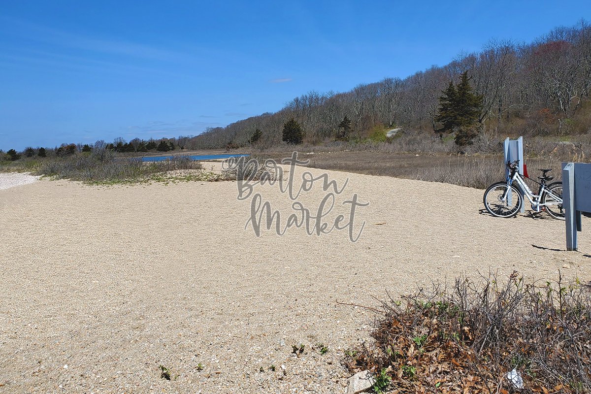 Stock Photo - Beach Bike Path example image 1