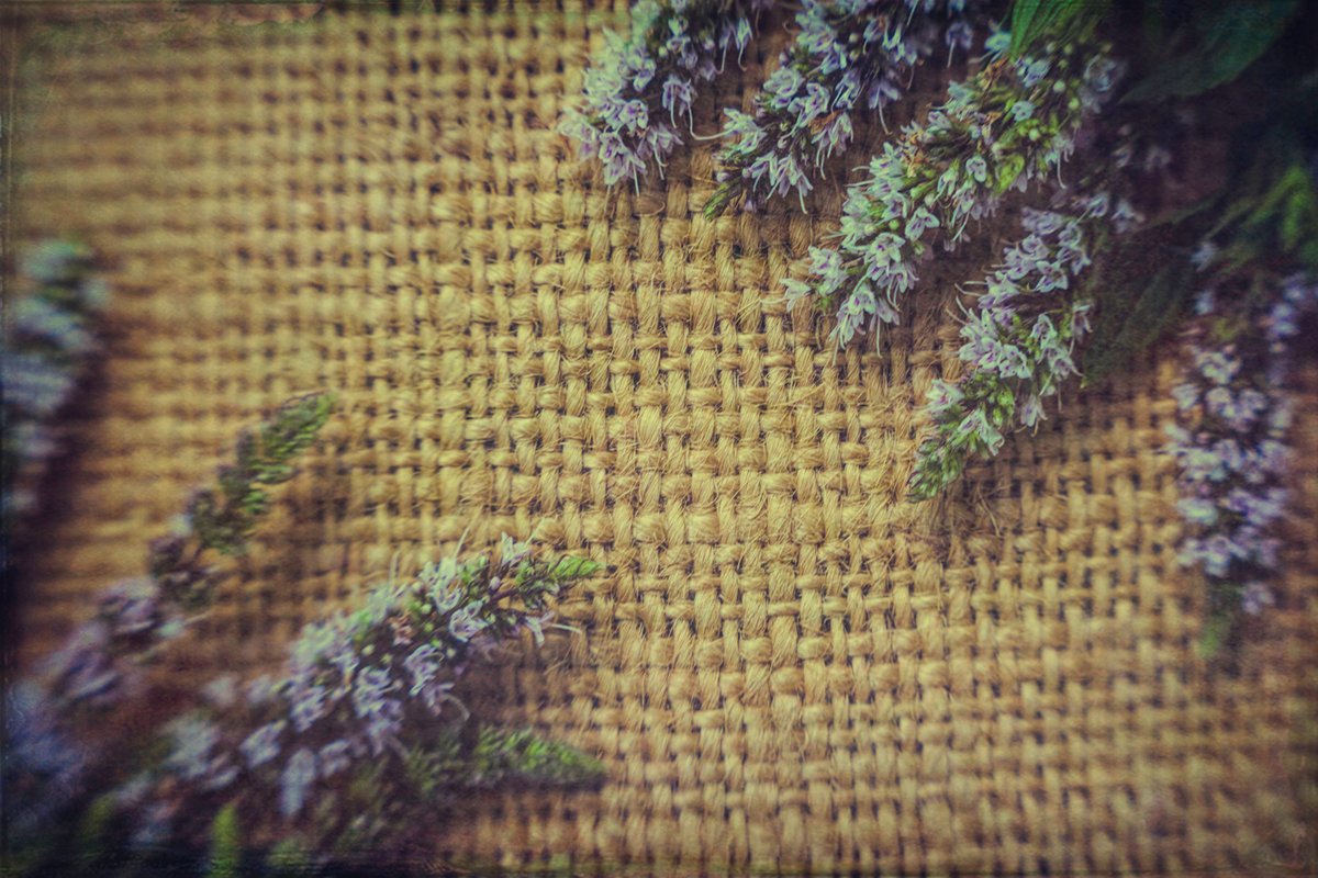 Vintage textural summer background. Old burlap and flowers example image 1
