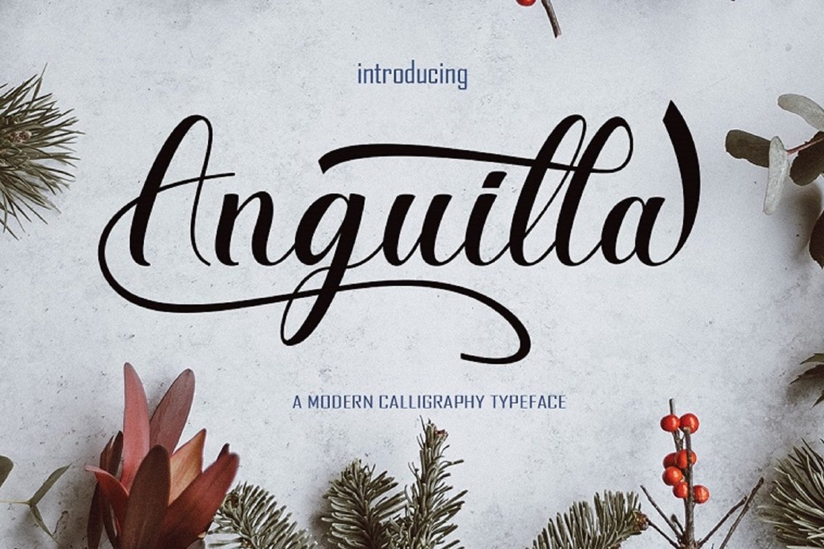 Anguilla example image 1
