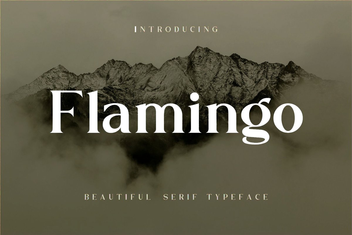 Flamingo example image 1