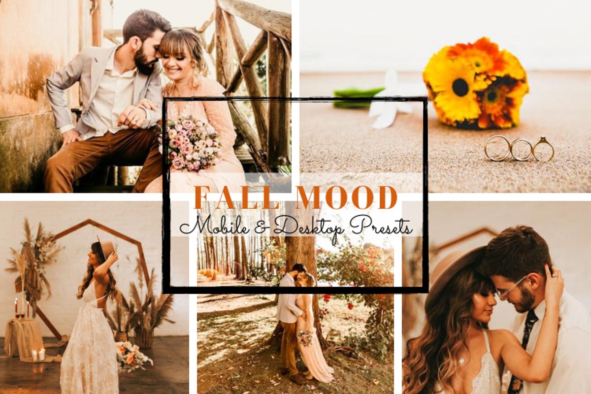 Fall Mood Mobile & Desktop Lightroom Presets example image 1