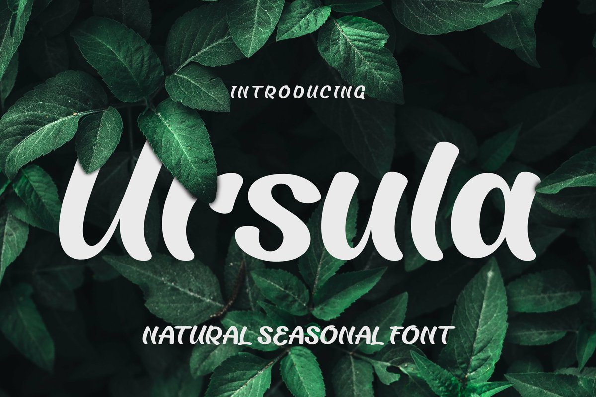 Ursula Font example image 1