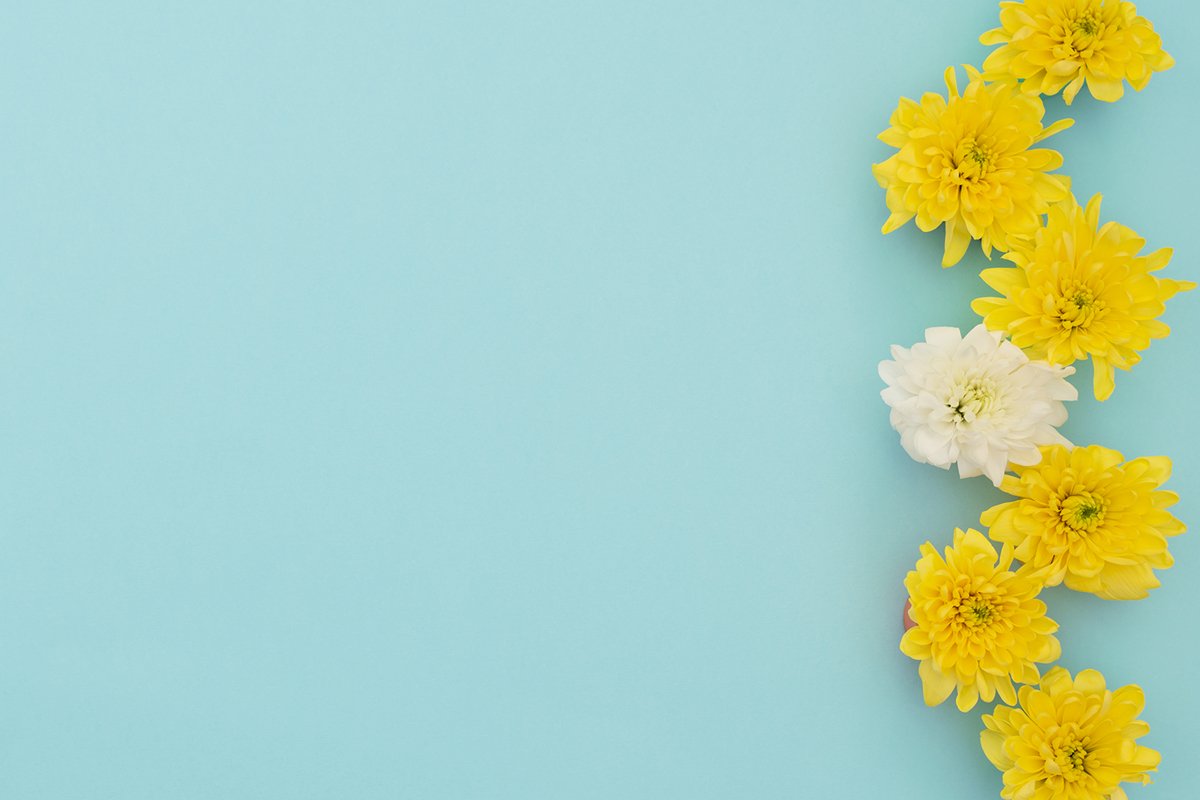Yellow and white flowers on blue background. example image 1