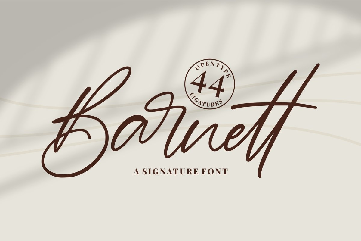 Barnett - Signature Font example image 1