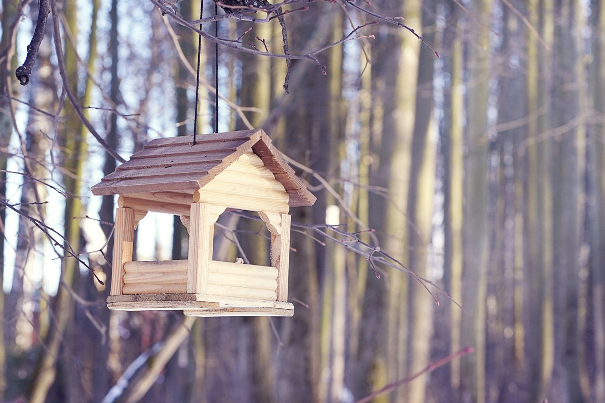 Wooden birdhouse in the forest in early spring. example image 1