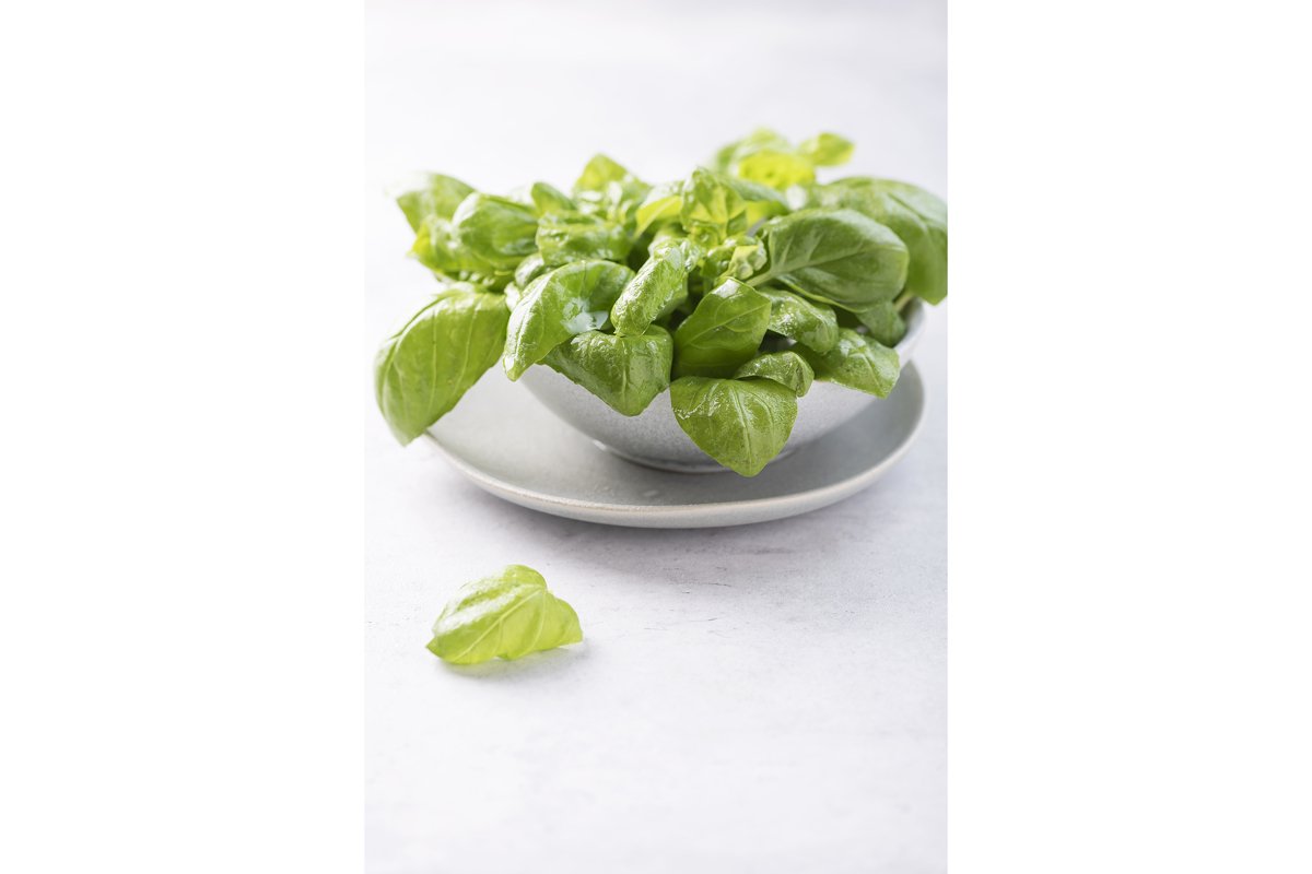 Fresh green basil in the ceramic bowl example image 1