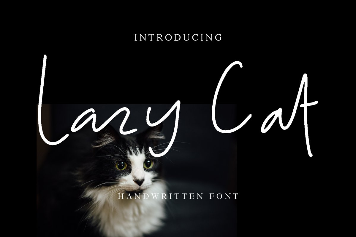 Lazy Cat example image 1