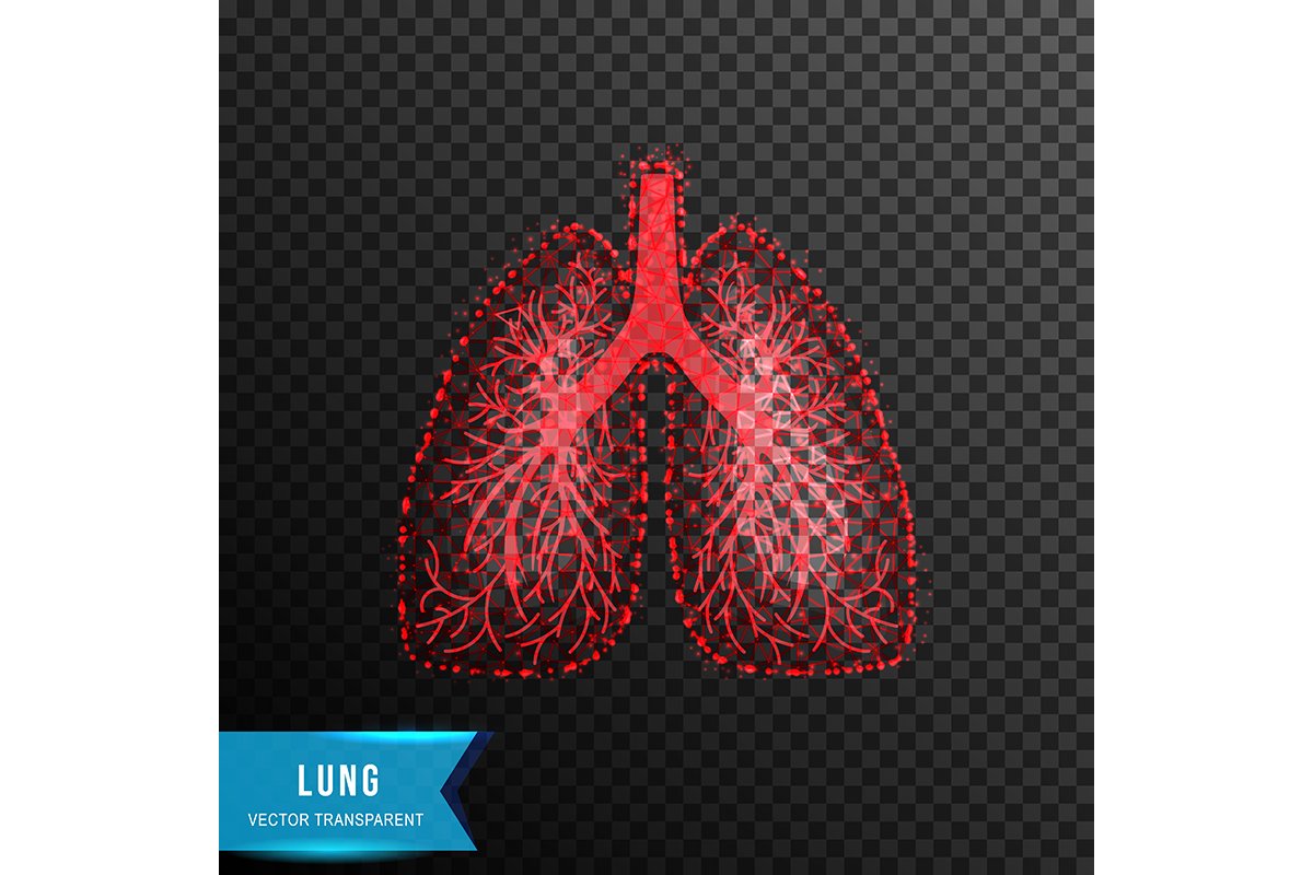 lung from connecting dot and line. light effect. vector illu example image 1