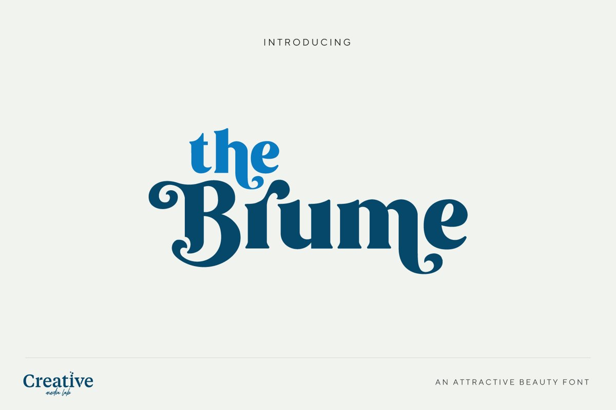 Brume - Beauty font example image 1