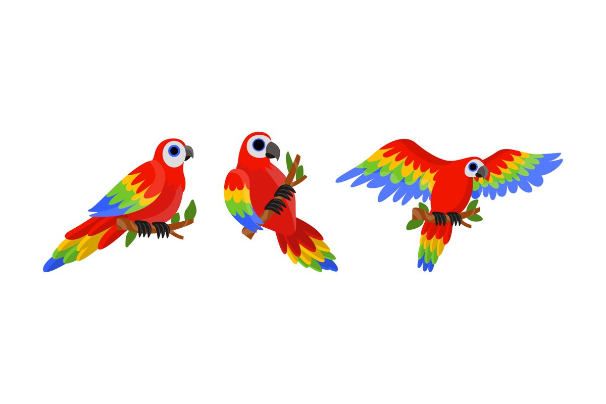 Parrot Illustrations example image 1