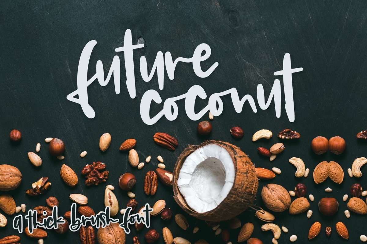 Future Coconut - A Thick Brush Font example image 1