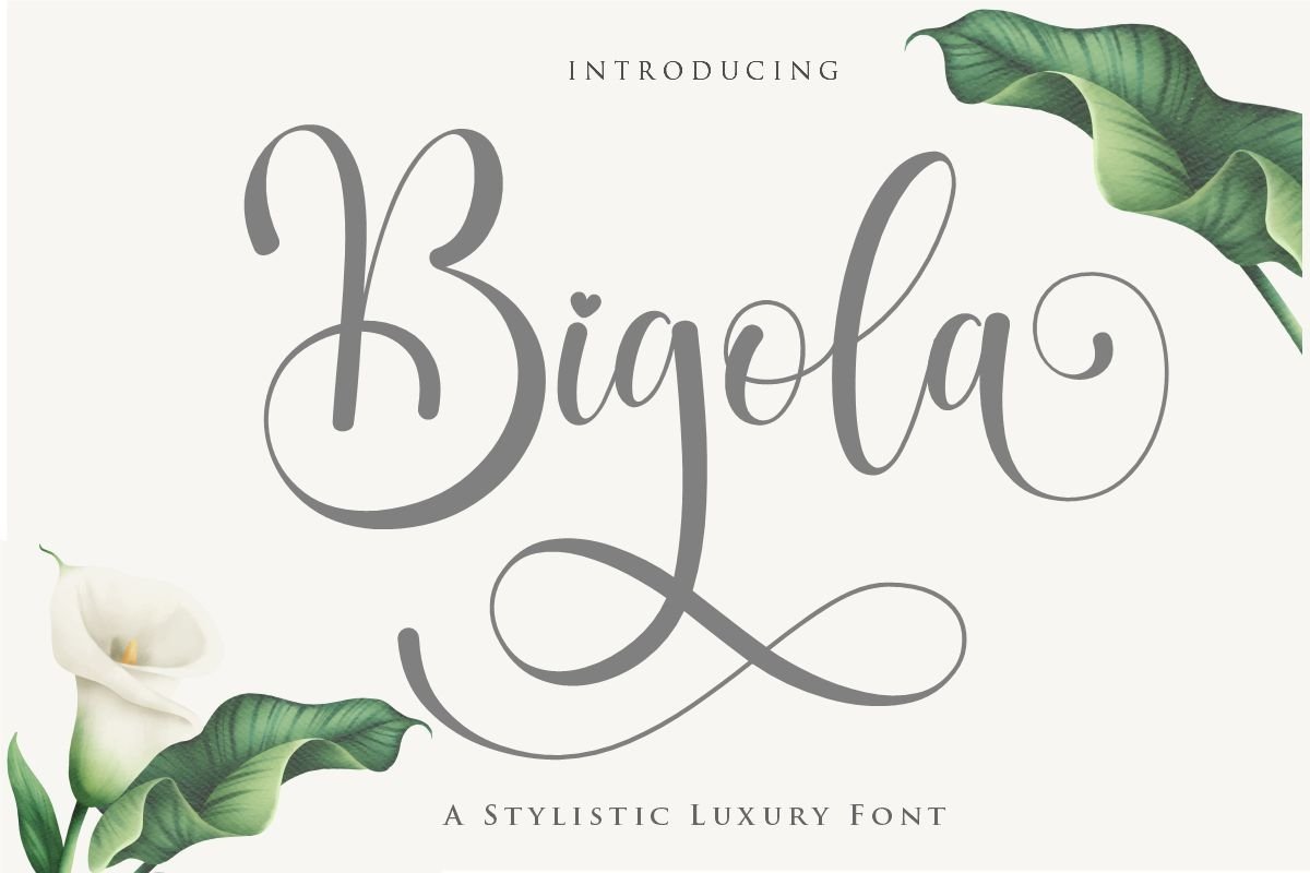 Bigola example image 1